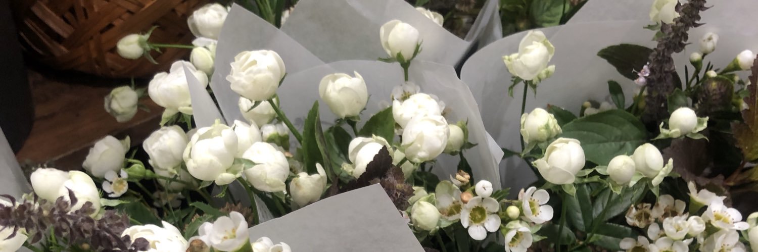 FrReetan's profile banner image