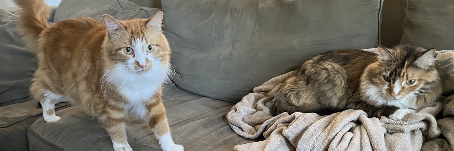 RisoSoup's profile banner image