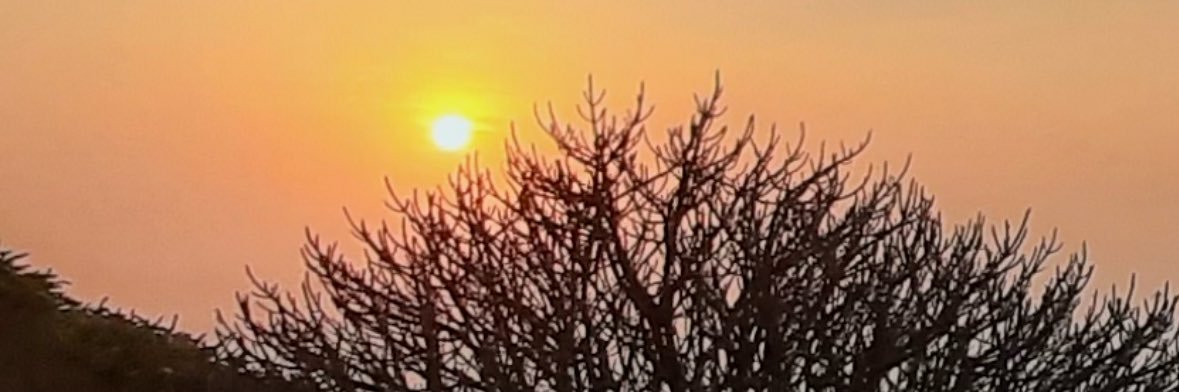 mdsamiul05's profile banner image