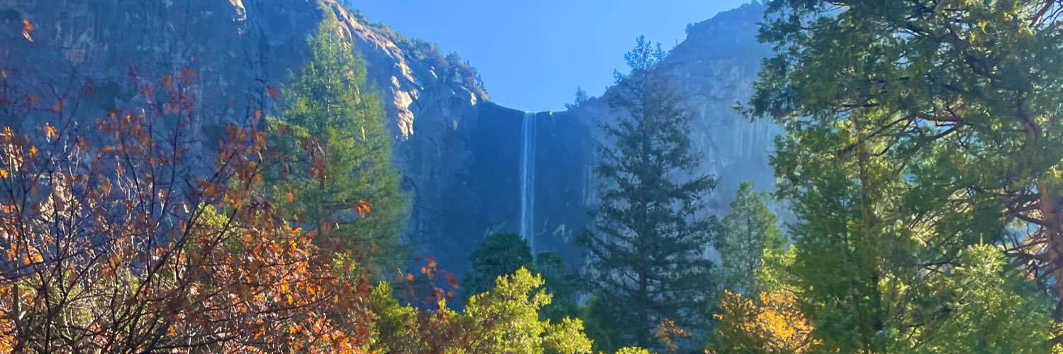 Sarah Galloway banner