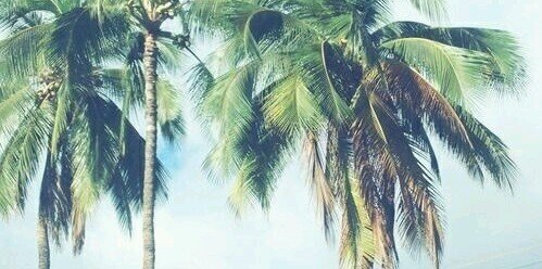 Romyyxo's profile banner image