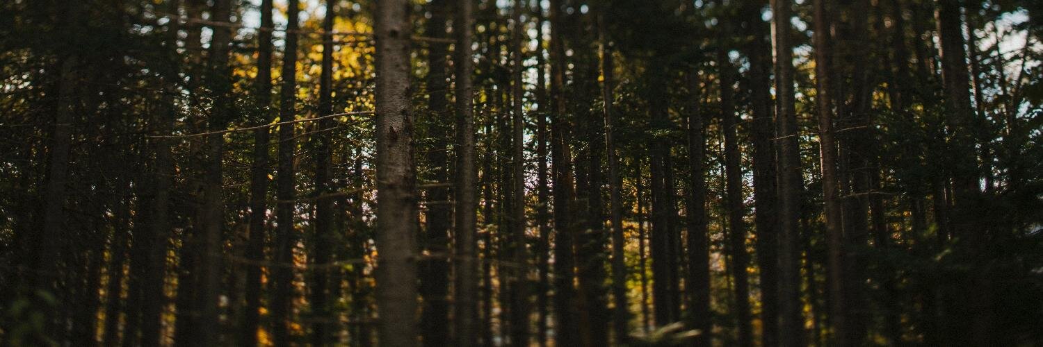frontrowlady's profile banner image