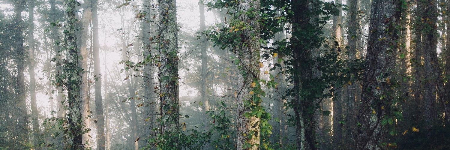 christywrites's profile banner image
