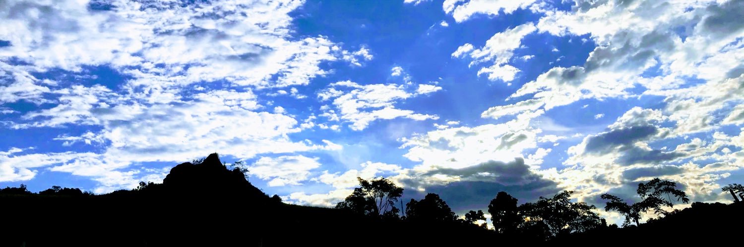 Jorge HerreraLC banner