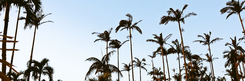 Boxxymixxxo's profile banner image