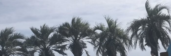 fstslv's profile banner image
