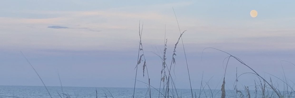 AndeeHolbert's profile banner image