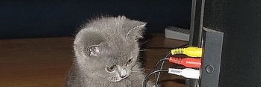 riley_schu's profile banner image