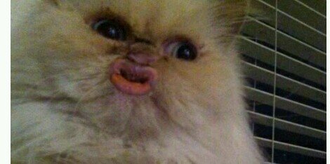 meeeeeee_gan's profile banner image