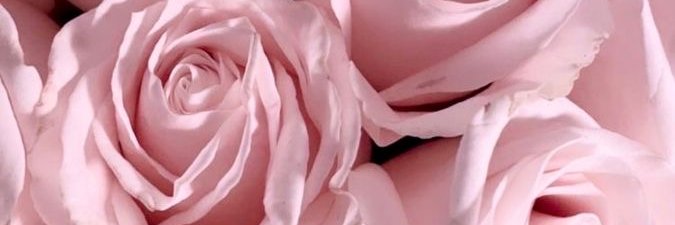 _mayadream's profile banner image