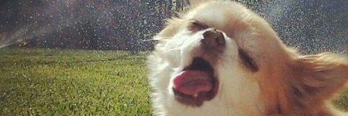 TheBeesk's profile banner image