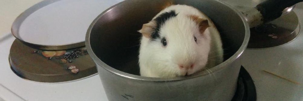 AustinooEtrata's profile banner image