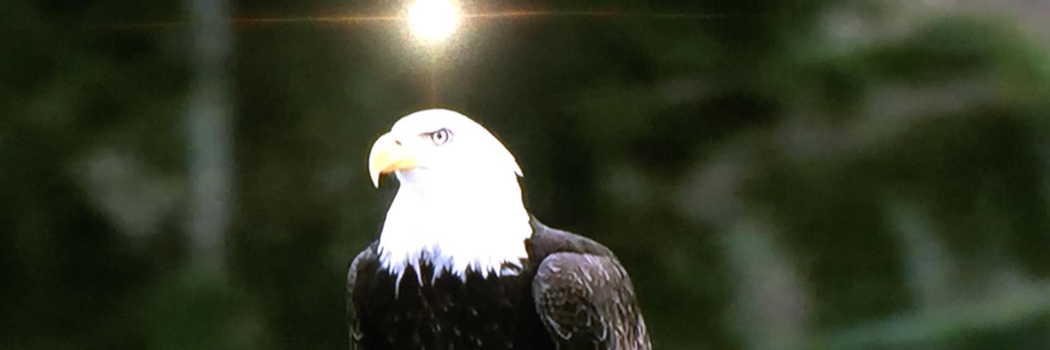 IAMJefferey's profile banner image