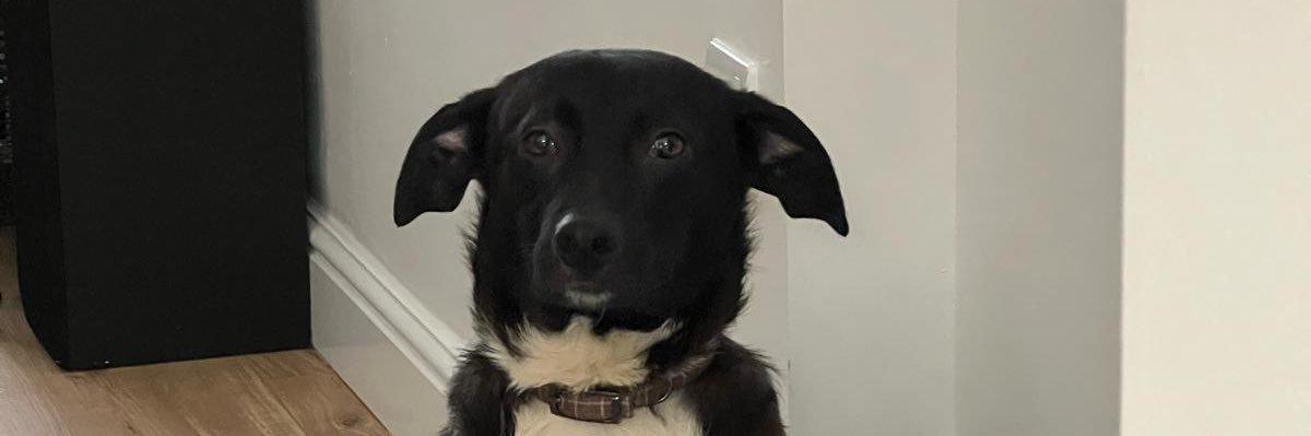 matthunt64's profile banner image