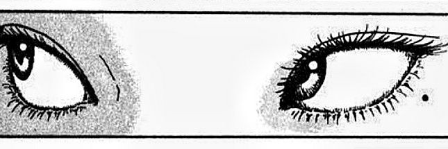 __bli__'s profile banner image
