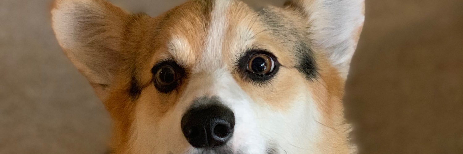 IAmRecoyle's profile banner image
