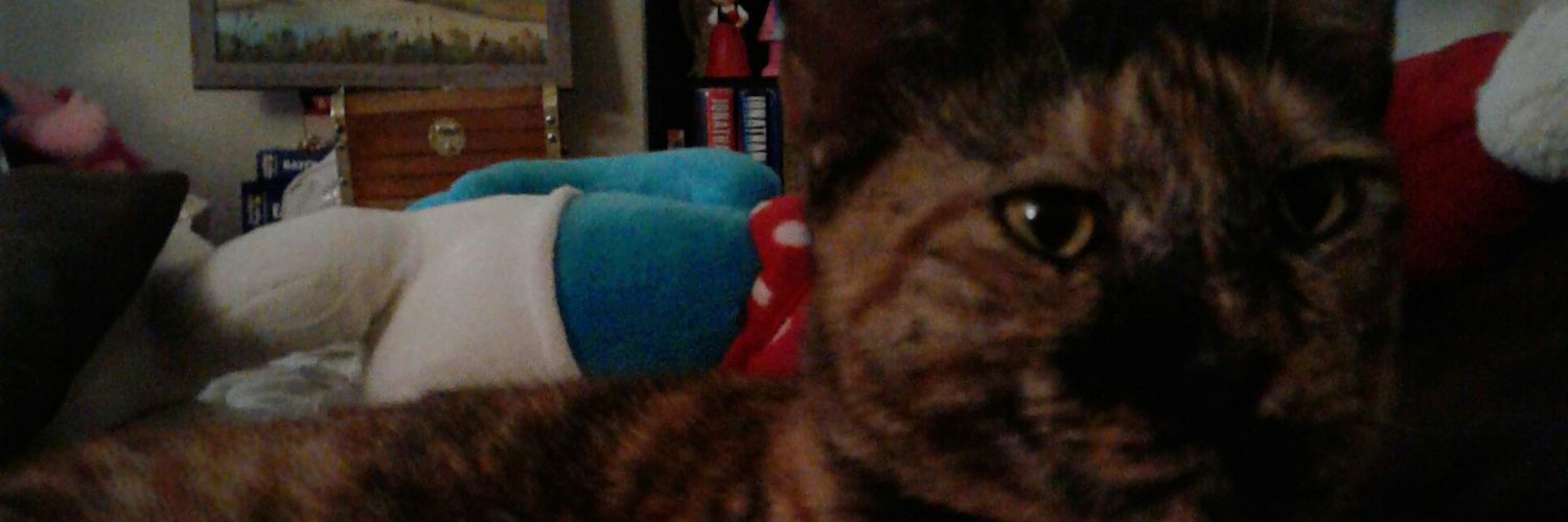 bayoumuse2's profile banner image