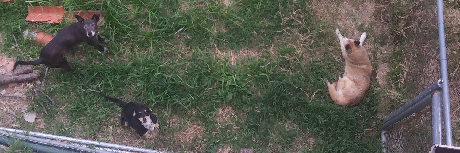 manuelrujano_'s profile banner image