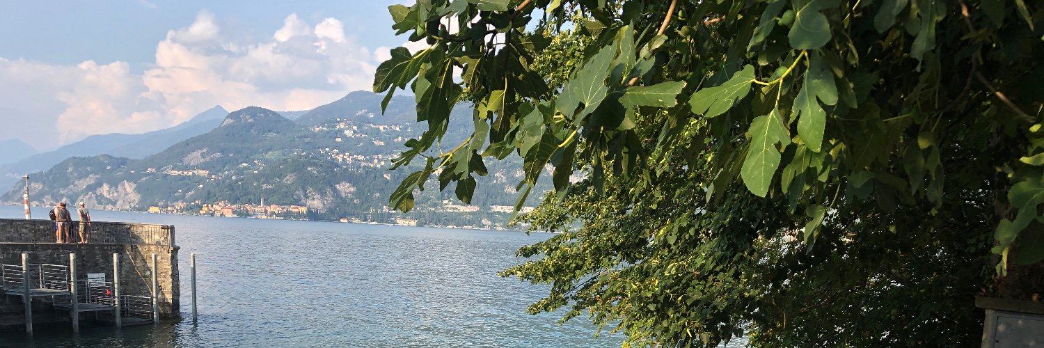 mainorton's profile banner image