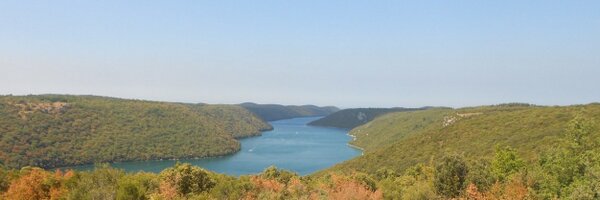 wesleyhermans Profile Banner