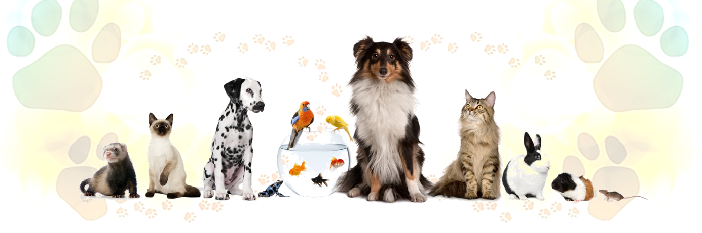 PeluLokos's profile banner image