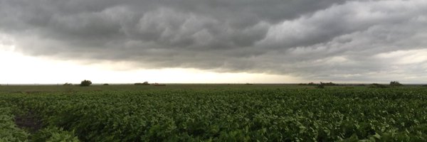 tallcot Profile Banner