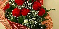 Bebsi345F's profile banner image