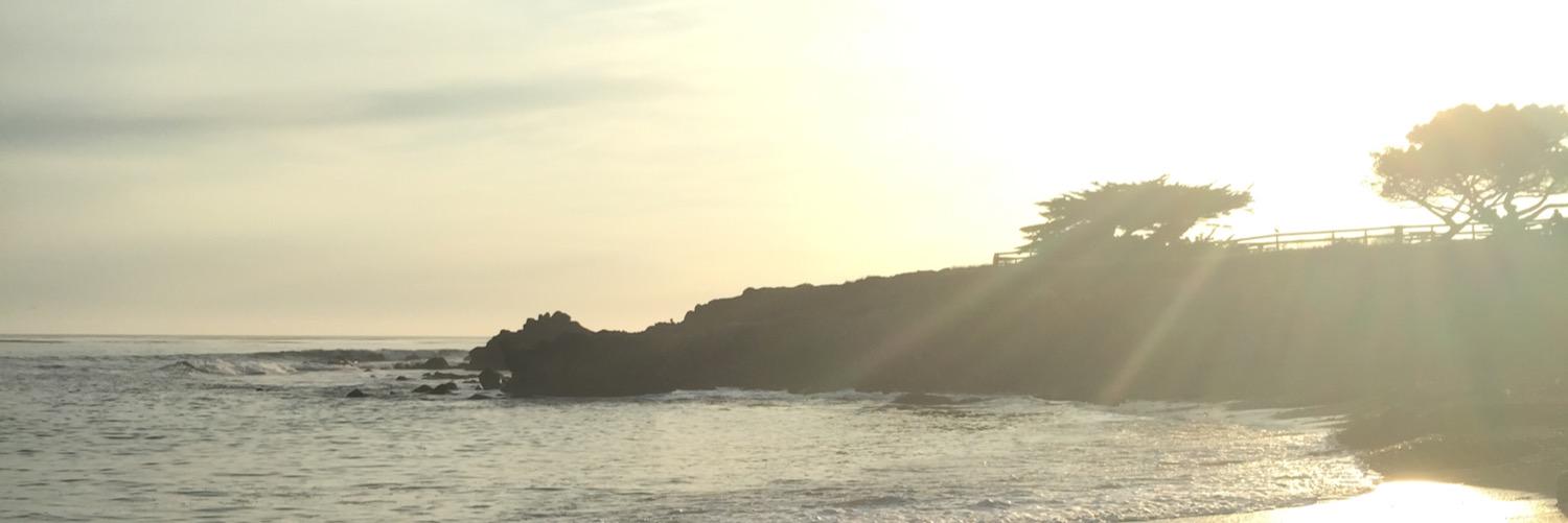 Casey Goldstein banner