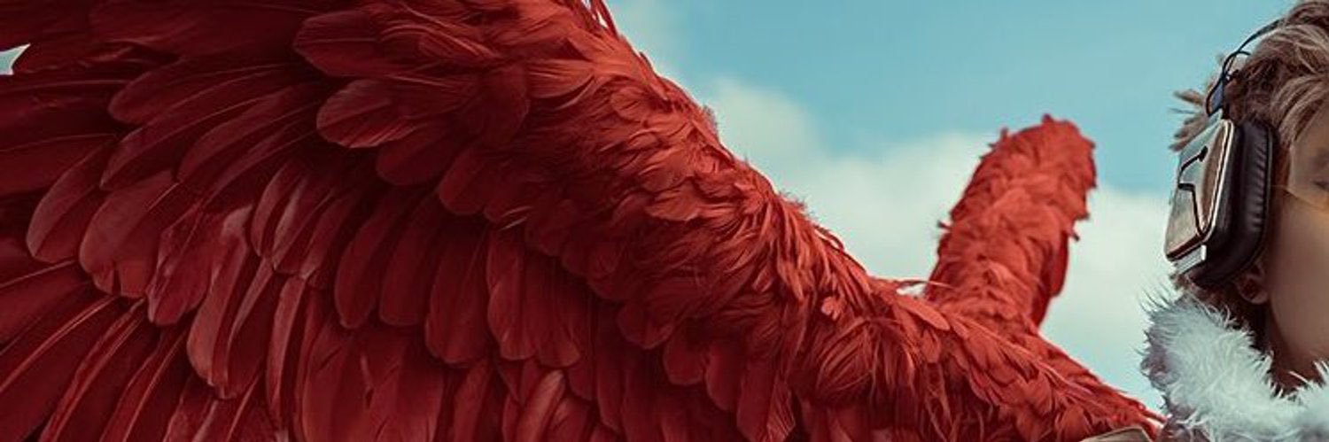 ℂ⩓𝕐 鳥 banner