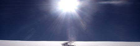 ritaechever's profile banner image