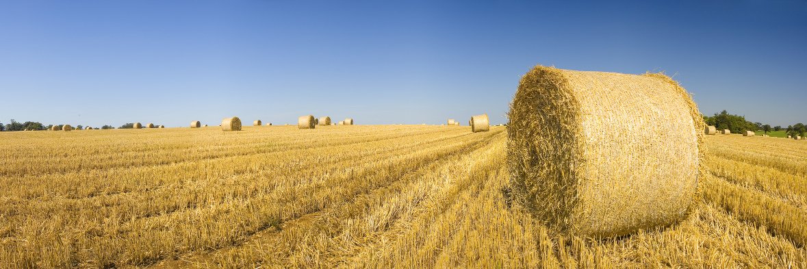 Orion Farming Group banner