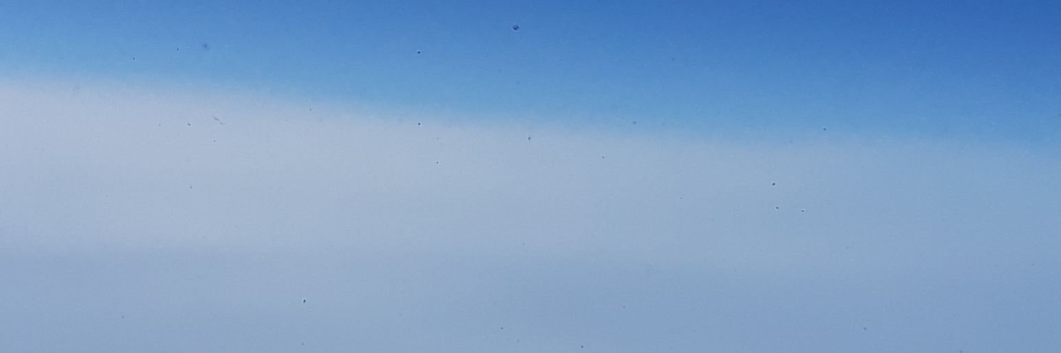 junglyee's profile banner image