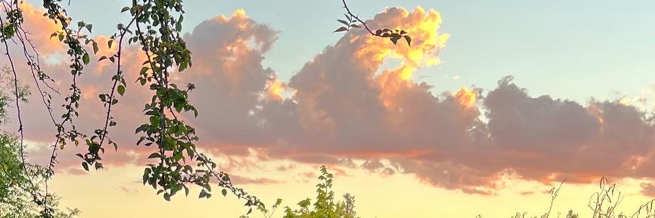 JacinthTran's profile banner image