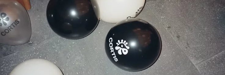 New05ZYF's profile banner image
