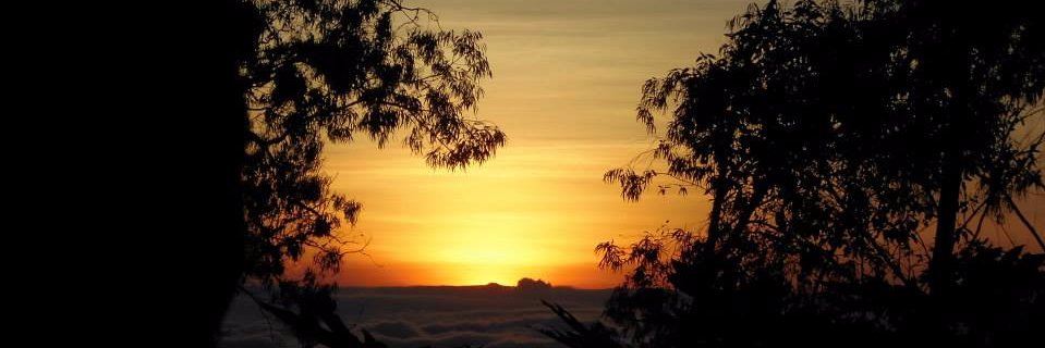 Daniel Sequera R .·. banner