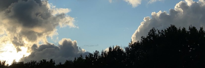 maureen_brn's profile banner image