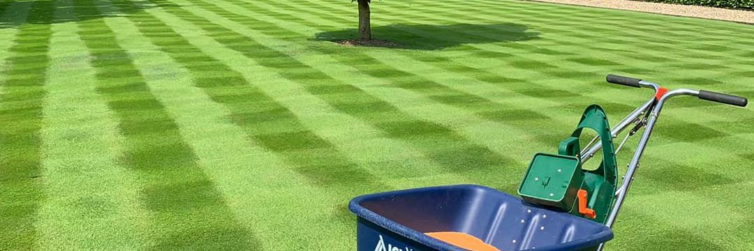 TopGrass banner