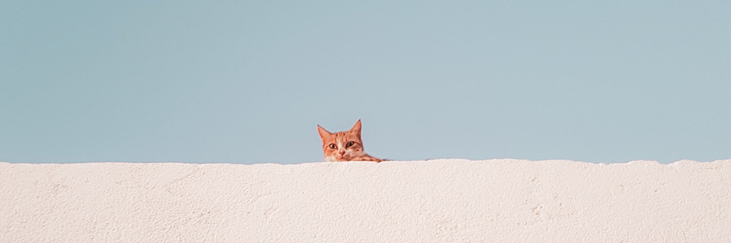🍒 banner