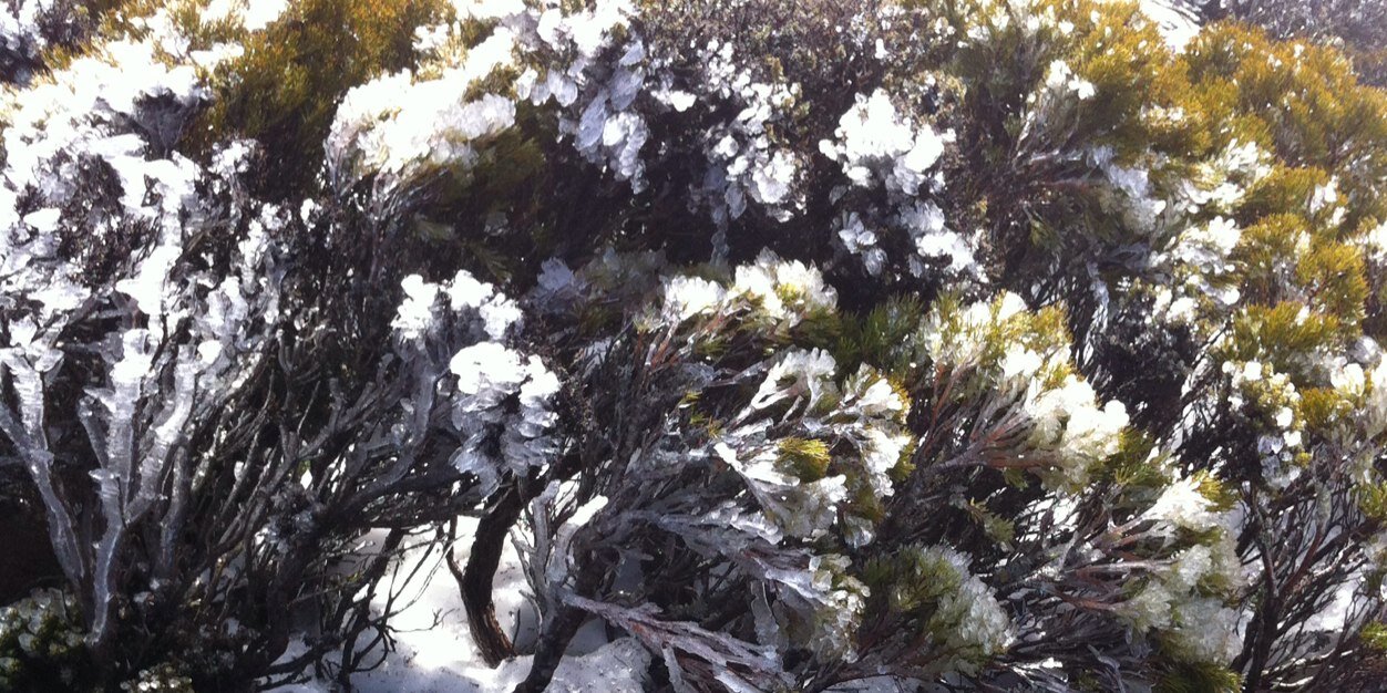 💧 David Mitchell banner