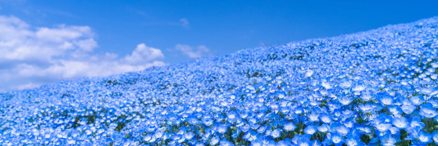para3_17's profile banner image