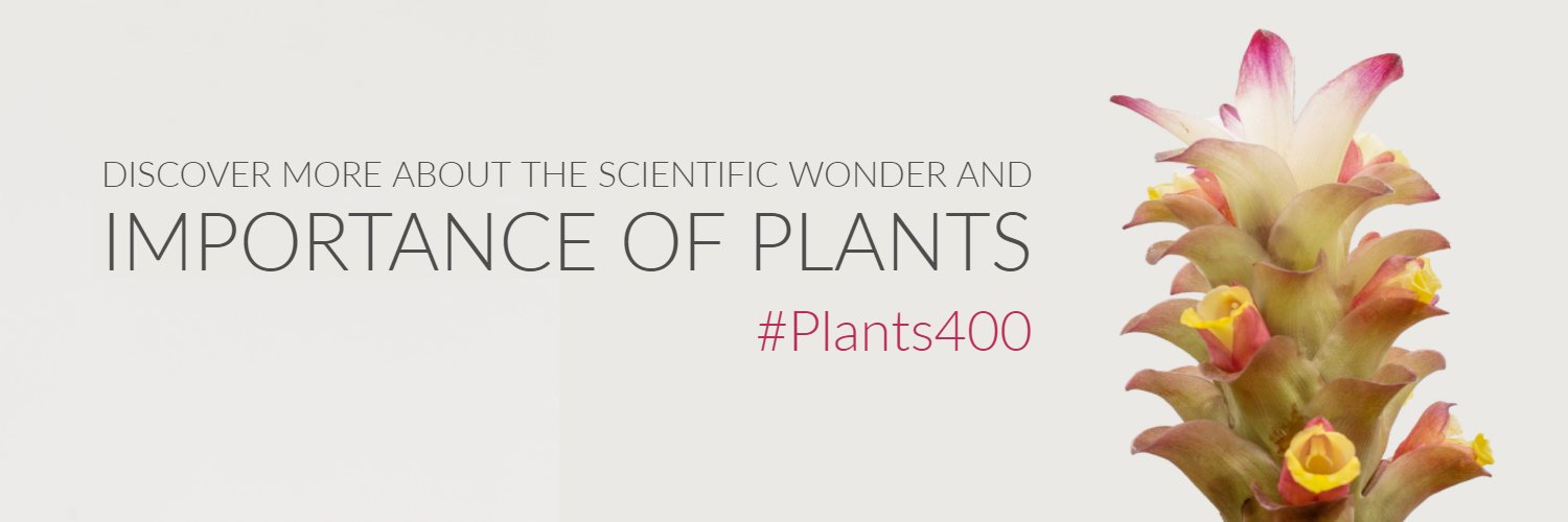 Plants400's profile banner image