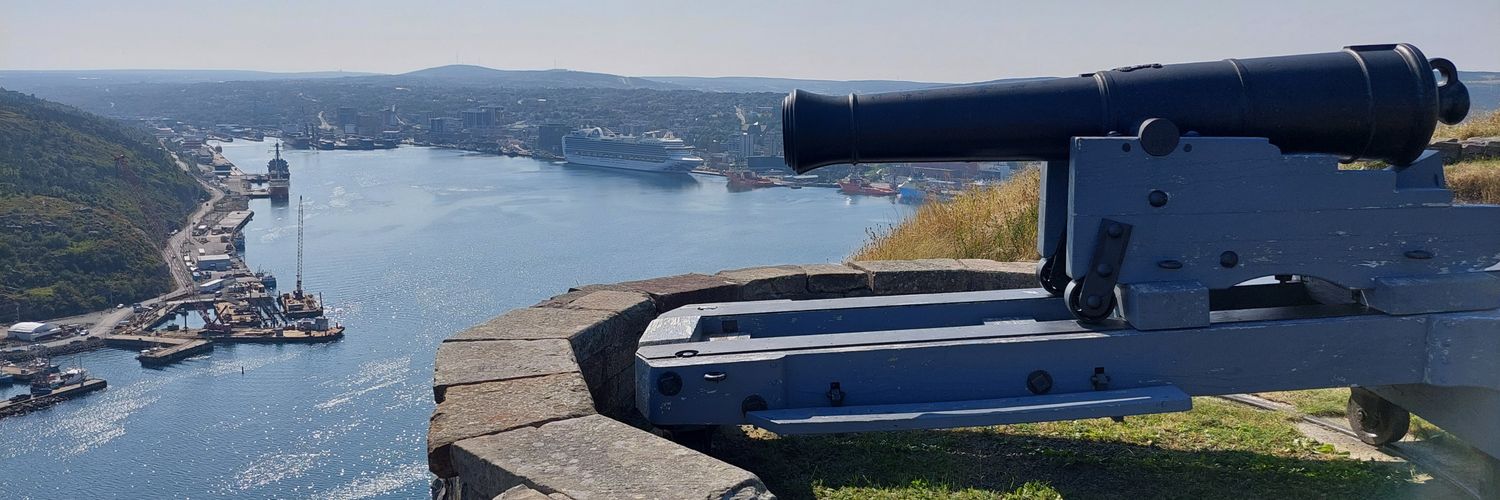 HowieF🫐🇨🇦 banner