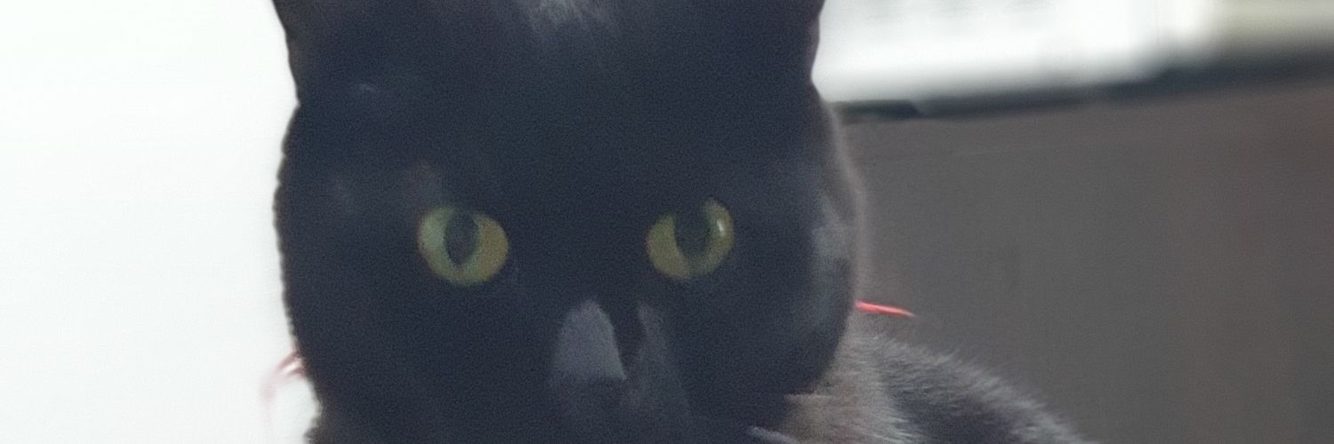 Serdar banner
