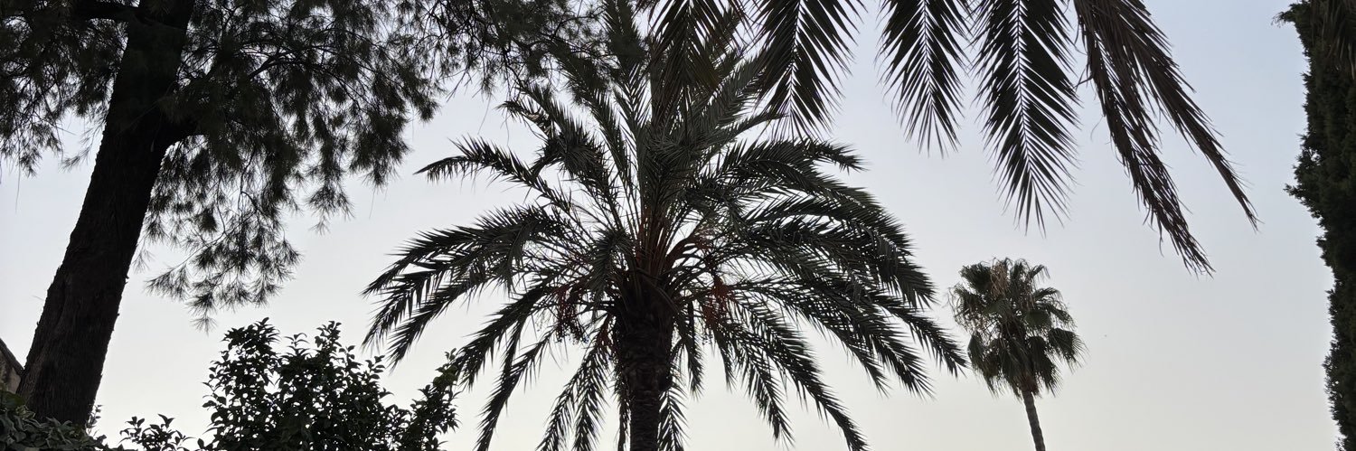 noemii17__'s profile banner image