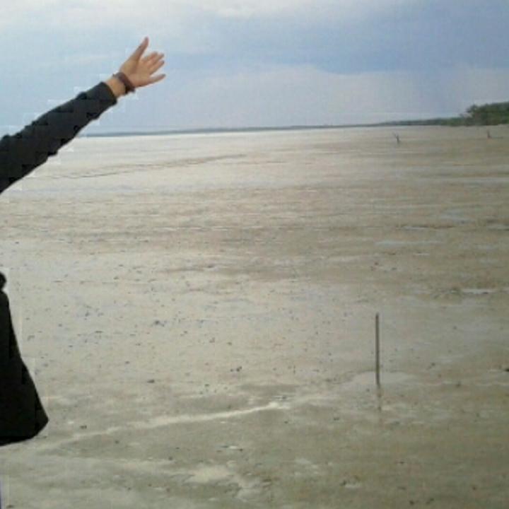 ayubriophyta's profile banner image