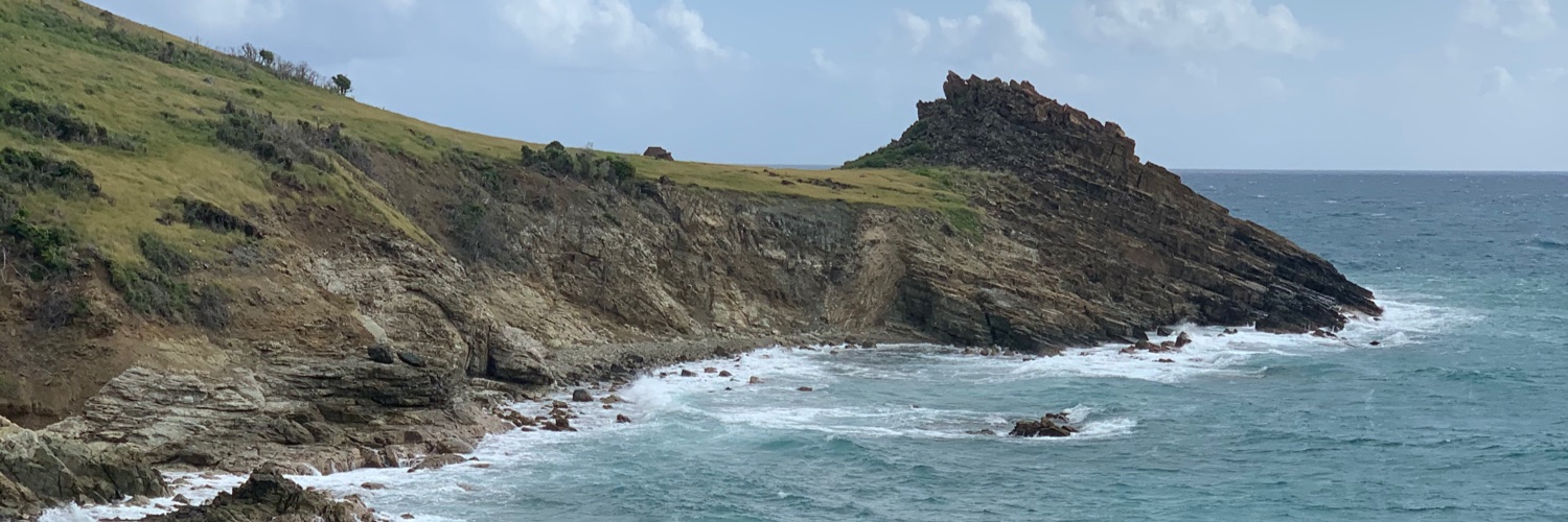 Kara Bratton, PhD banner