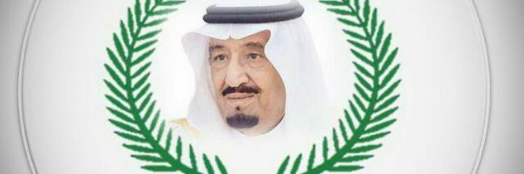 walaa835's profile banner image