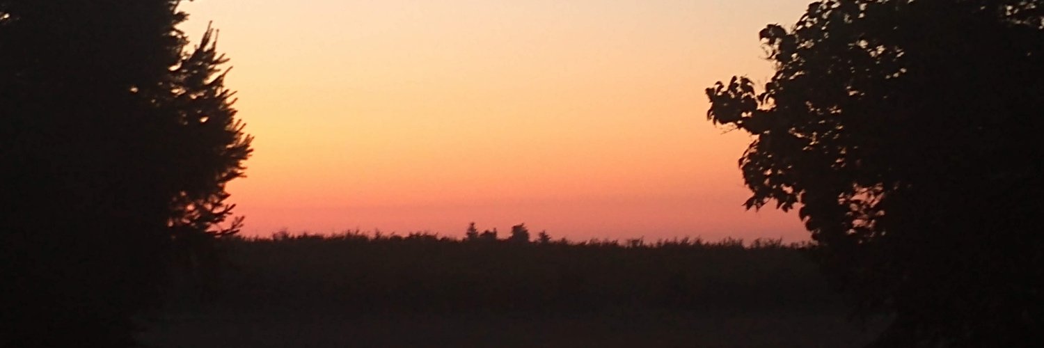 revox_here's profile banner image