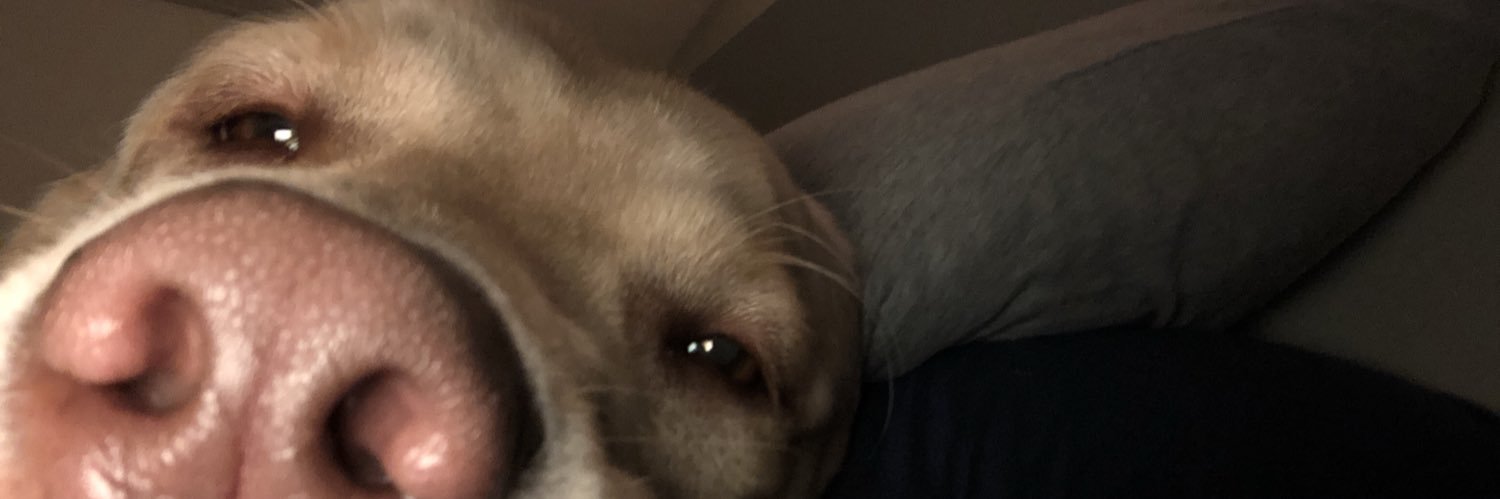 jacob macmillan banner