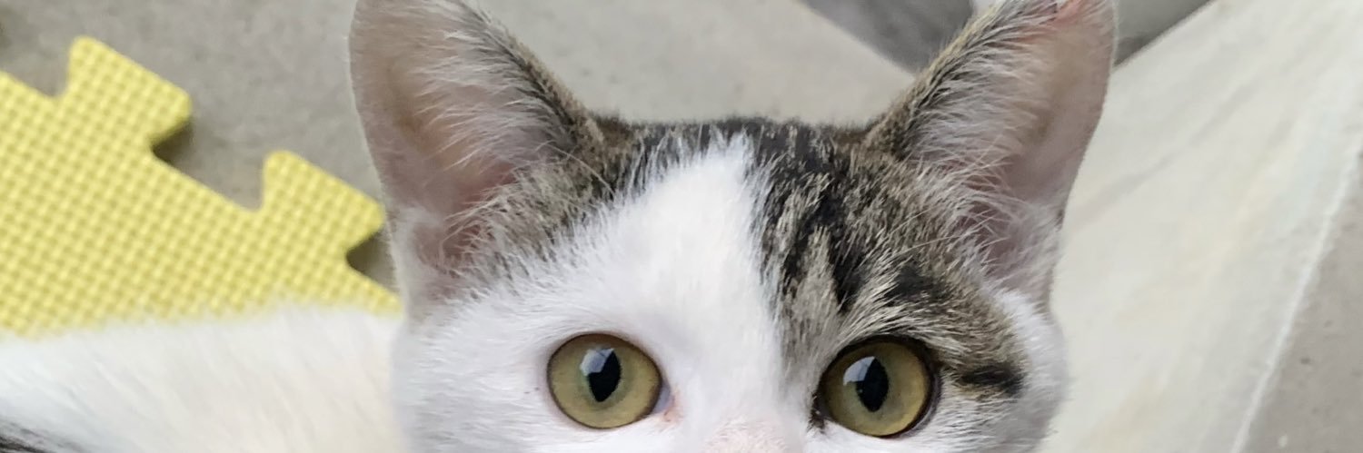 okappamimichan's profile banner image